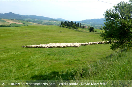 Route de Volterra