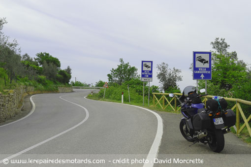 route S222