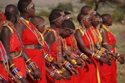 Regroupement de femmes de la tribu Maasaï