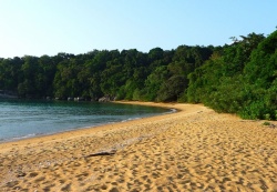 La Monkey Beach de l'île Tioman - crédit photo : Ond?ej ´vá?ek