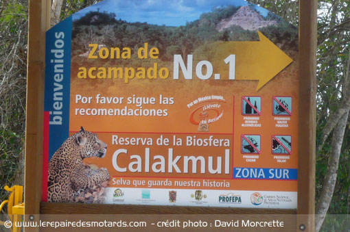 site maya de Calakmul