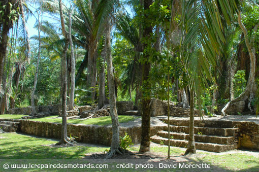 route déforestée au Mexique Yucatan