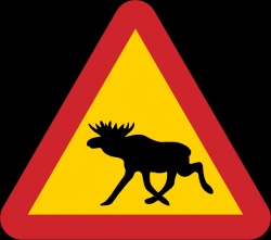 Suède : code de la route 