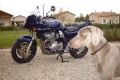 photo mois
Sélection moto inclassable juillet 2001
