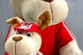 Ducati Cucciolo   peluche collection