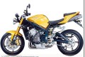 Premires photos modles Triumph Speed 675 Daytona 1075 2008