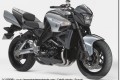 Tour France Suzuki B King