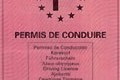 Plus 900 conducteurs roulent permis