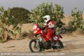 Rallye Maroc duel Marchini Frétigné