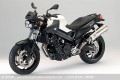 BMW présente roadster F 800 R