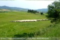 Italie   Pise   voyage carnet route Toscane