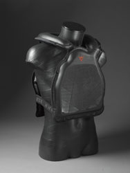 Protection Dainese ventrale et dorsale