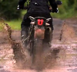 Arrière Triumph Tiger 800 XC