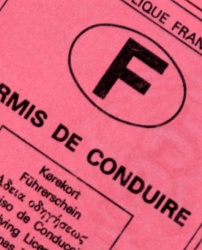 Permis à points : amendement pour réduire le délai de récupération des points