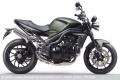 Triumph Speed Triple Matt Khaki Green