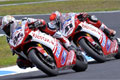 WSBK à Portimao Ducati vs Honda ? Suzuki challenger ?