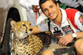 LCR Honda MotoGP Team Qatar images