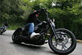Harley Davidson Euro Festival 2010