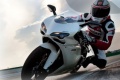 Ducati Monster 848 1198S cher