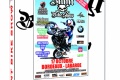 DVD Stunt Bike Show 2010