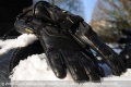 Gants chauffants Gerbing