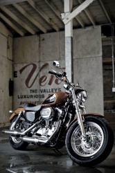 Harley-Davidson Sportster Custom XL1200C