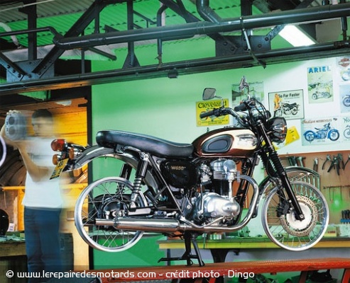 Kawasaki : les 7 p&eacute;ch&eacute;s capitaux en photos : avarice