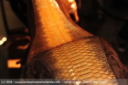 Moto en pyton et crocodile chez Harley Davidson