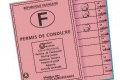 2013 année permis à puces