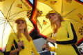 Umbrella girls