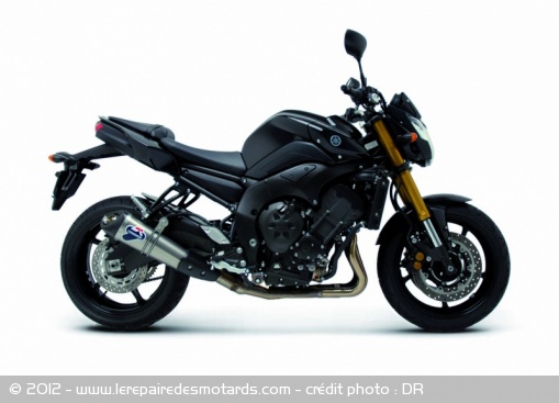 Silencieux Termignoni Strada pour Yamaha FZ8