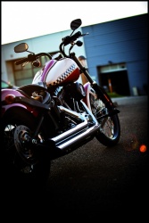 La Harley-Davidson Blackline revue par 4 peintres - crédit photo : Philippe Somnolet
