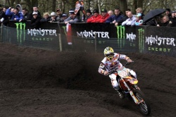 Doublé pour Cairoli en MX1 au GP des Pays-Bas - Crédit photo : FIM