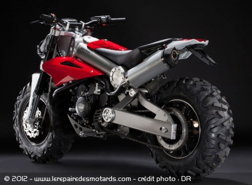 Concept Brutus