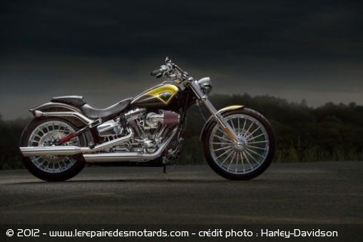 Custom Harley-Davidson CVO Softail Breakout Hard Candy