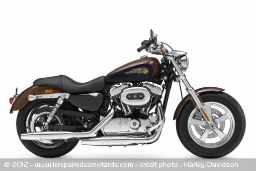 Harley-Davidson 1200 Custom 110e anniversaire