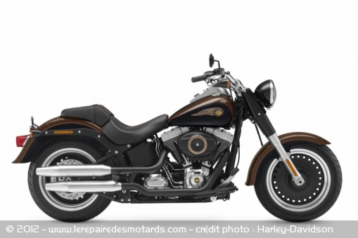 Harley-DavidsonFat Boy Special 110e anniversaire
