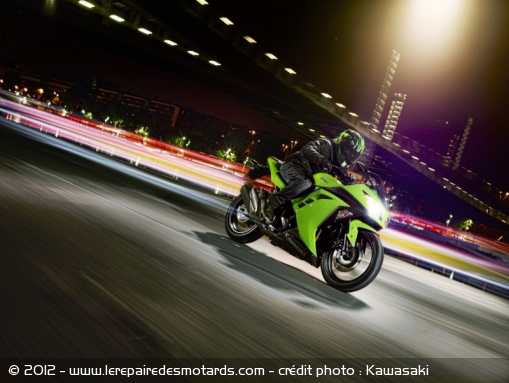 Kawasaki Ninja 300 2013