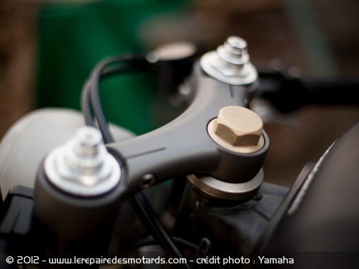 Yamaha XJR 1300 Yard Build