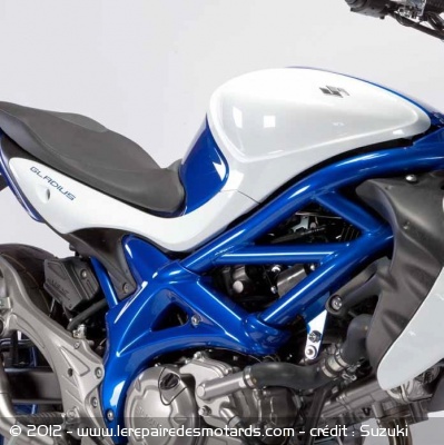 Suzuki Gladius Trophy Replica