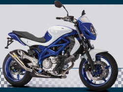 Suzuki Gladius Trophy Replica