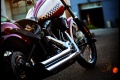 Les Harley Davidson Blackline revues 4 artistes