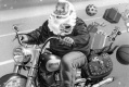 1er Toy Run   cadeaux enfants hospitaliss