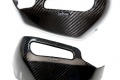 Protections carbone LeoVince BMW R1200GS