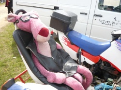 La panthre rose s'offre une vire en side-car
