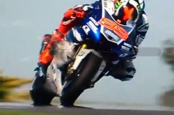 Lorenzo tue une mouette