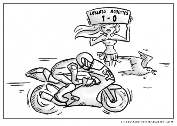 Une mouette en MotoGP