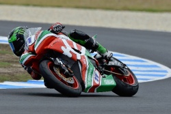 Pilote Lowes