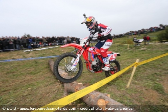 Scorpion Masters : Aubert