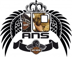 Harley-Davidson Grand Lyon fête ses 10 ans